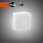 رله دو کانال پشت کلیدی wifi rf