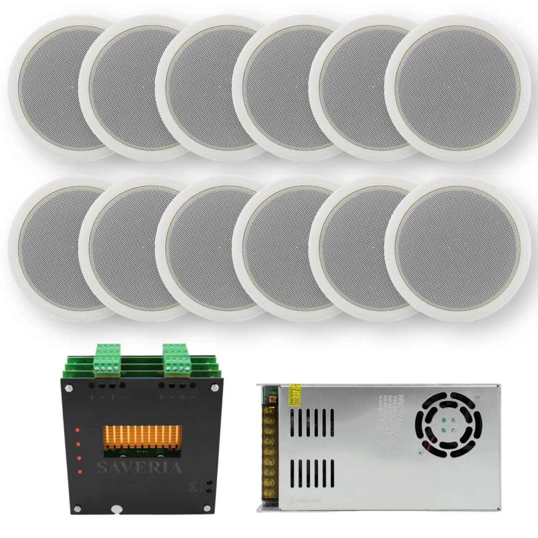 سیستم صوتی سقفی مدل دوازده کانال