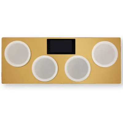 پکیج سیستم صوتی 4 کانال با پنل 8 اینچ